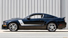 Ford Shelby Ford mustang gt 500 shelby gt500 muscle cars 