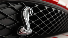 Ford shelby gt500 Shelby