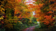 Forest amazing autumn artwork
