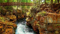 Forest Bridges rivers nature