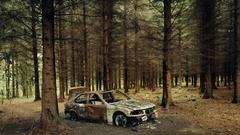 Forest cars nature