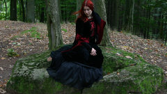 Forest high stock Medieval Resolution 001 froweminahildstock