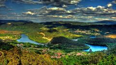 forest landscape clouds nature river