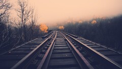 forest mist fall railway landscape