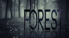 forest mist Typography nature selective coloring reflection