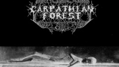 Forest nature black metal