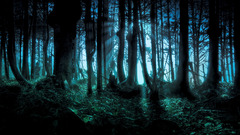 forest nature fantasy art dark Trees