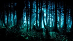forest night fantasy art digital art cyan
