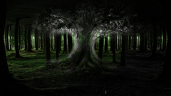 Forest prototype high bump ) With Resolution