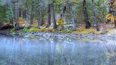forest water reflection landscape Trees nature river fall snow
