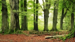 Forests artwork Desktopography 3d