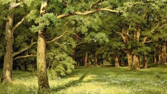 Forests artwork Ivan Shishkin