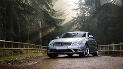 Forests cars Mercedes-Benz