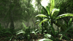 Forests crysis
