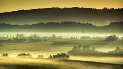 Forests fog mist Landscapes