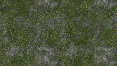 Forests grass Textures