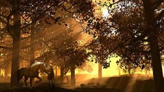 Forests link the legend