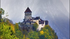 Forests Mountains edge