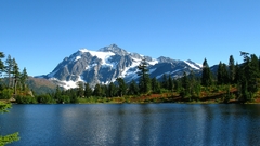 Forests Mountains Landscapes