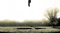 Forests Photo manipulation vectors