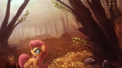 Forests ponies My Little Pony: Friendship is Magic Fluttershy