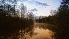 Forests rivers nature