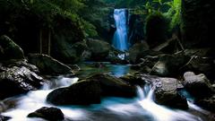 Forests streams waterfalls