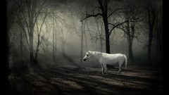 Forests unicorns fantasy art