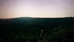 Forests vintage rivers