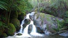 Forests waterfalls rivers