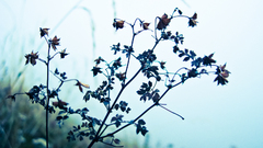 Forgot file Last time