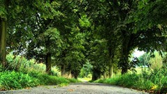 Forgotten roads avenue