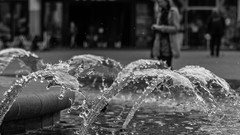 Fountain grayscale