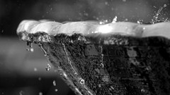 Fountains water drops splashes Rims greyscale