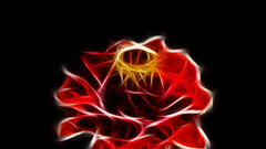 Fractal flower Hi there