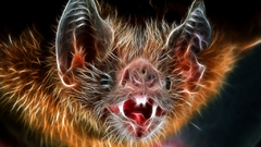Fractalius bats