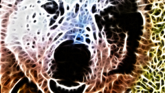 Fractalius Bears