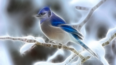 Fractalius blue Jay