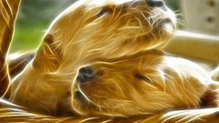 Fractalius Dogs Puppies