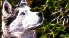 Fractalius Dogs Wolves