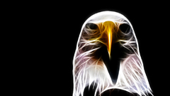 Fractalius Eagles