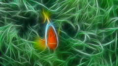 Fractalius fish clownfish