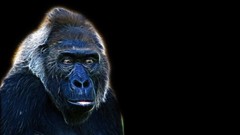 Fractalius gorillas