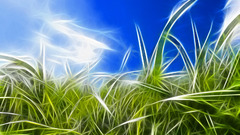 Fractalius grass nature