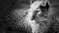 Fractalius Leopards