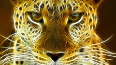 Fractalius Leopards