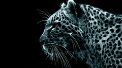 Fractalius Leopards