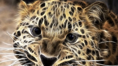 Fractalius Leopards