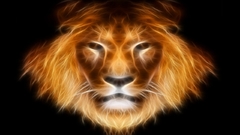 Fractalius Lions