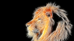 Fractalius Lions Animals